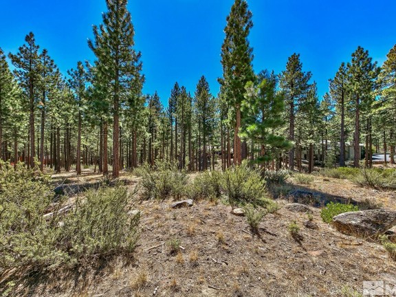 Land in Galena Forest Estates