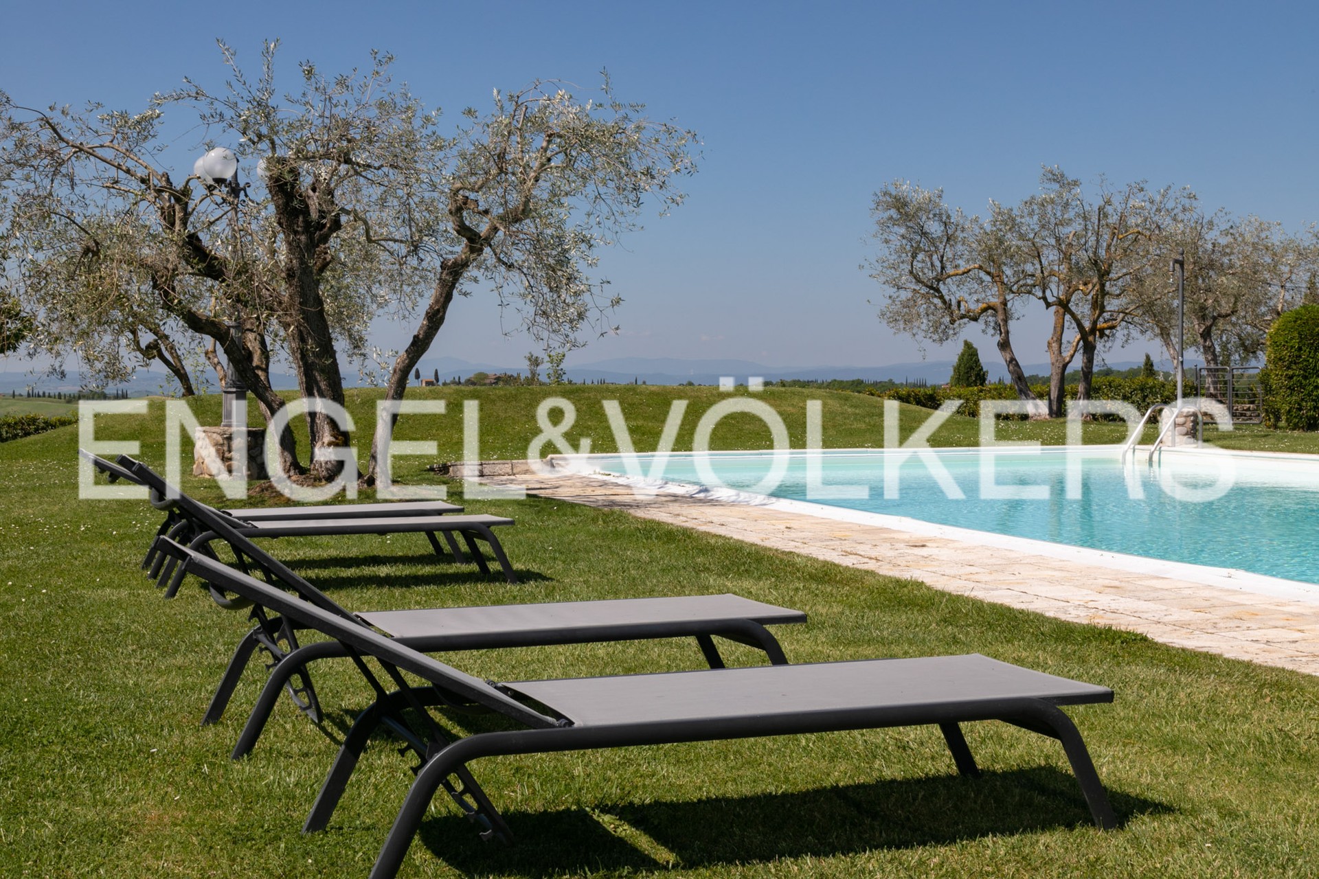 Falke sun lounger hot sale