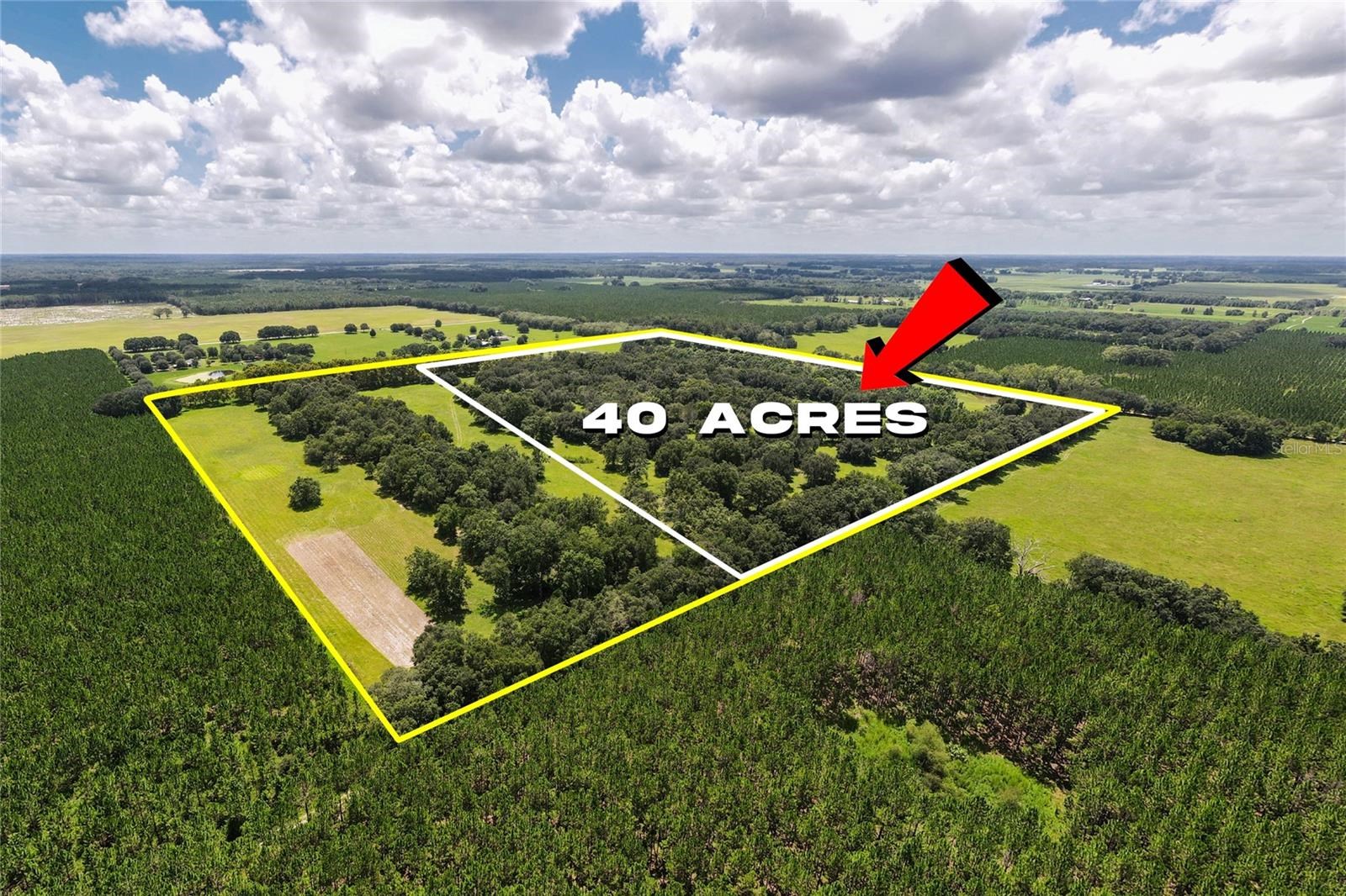 1742400 square feet Land in LIVE OAK, Florida