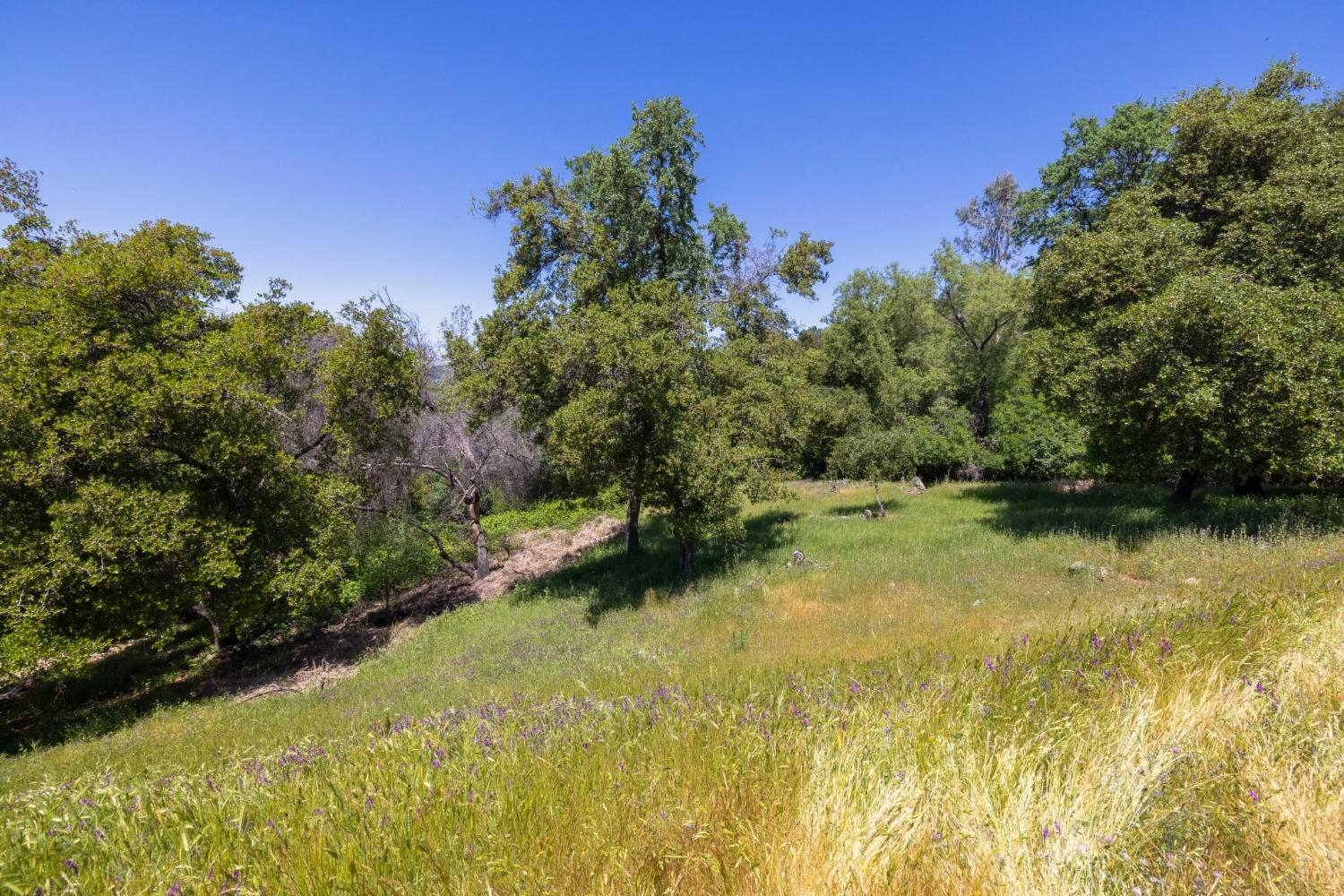 44866-square-feet-land-in-el-dorado-hills-california