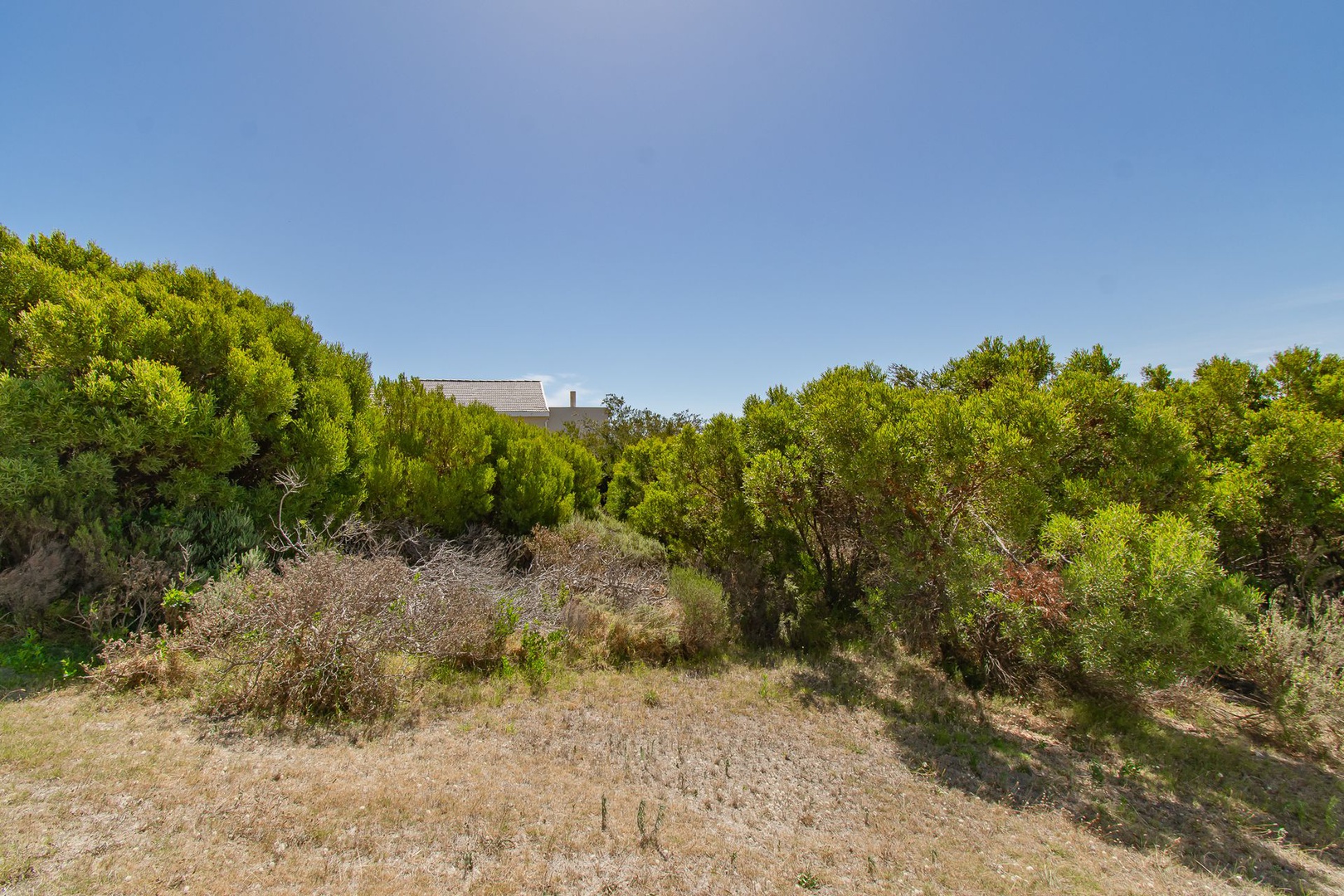 Sunny stand Mountain views Lush vegetation